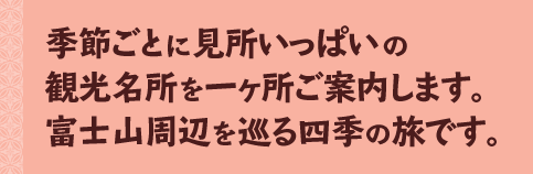 季節ごとに見所いっぱいの観光名所を一ヶ所ご案内します。富士山周辺を巡る四季の旅です。