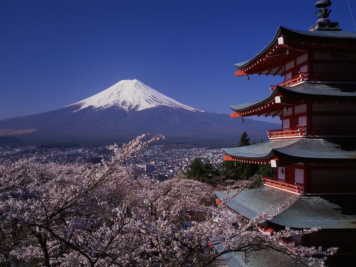 富士山と桜と五重塔 新倉山浅間公園 桜祭り 3 30 4 19 新着情報 富士山の見える温泉旅館 富士山温泉ホテル鐘山苑公式hp