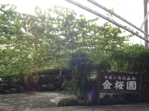 DSC03418.JPG
