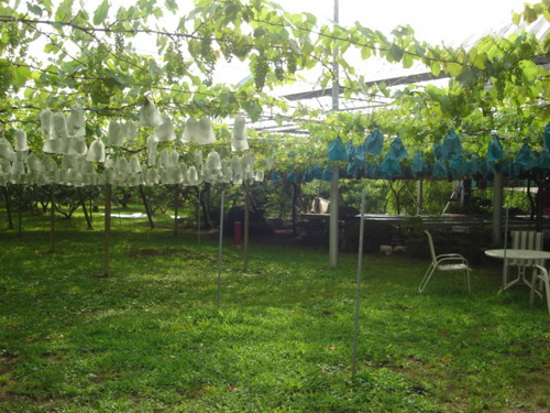 DSC03419.JPG