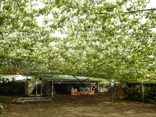 DSC03420.JPG