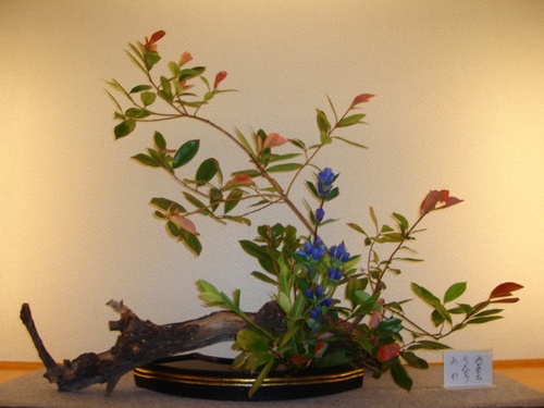 DSC03425.JPG