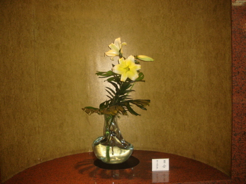 DSC03427.JPG