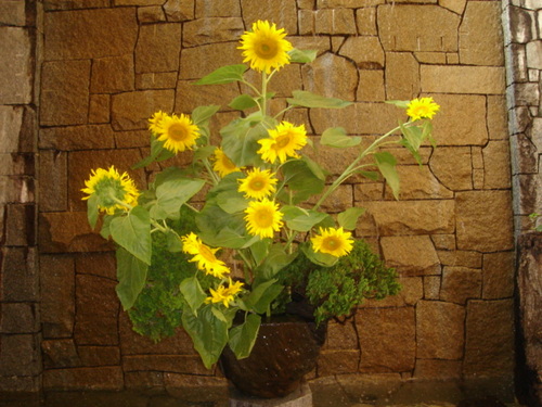 DSC03433.JPG