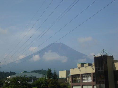 DSC03435.JPG