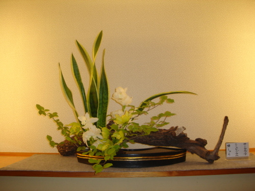 DSC03436.JPG