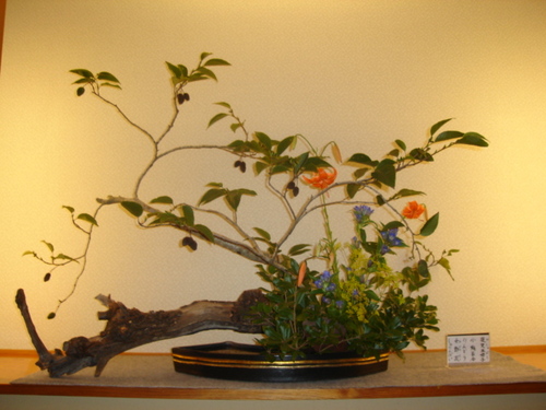 DSC03442.JPG