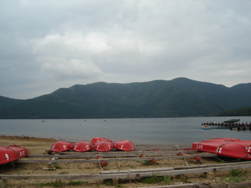 DSC03444.JPG