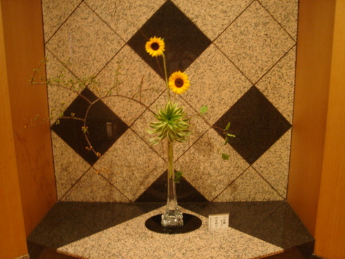 DSC03447.JPG