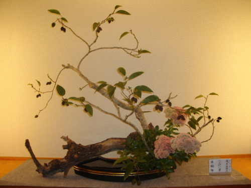DSC03448.JPG