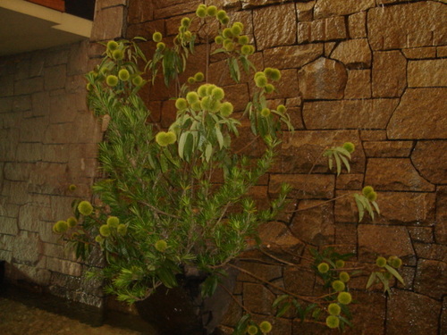 DSC03450.JPG