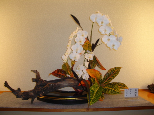 DSC03468.JPG