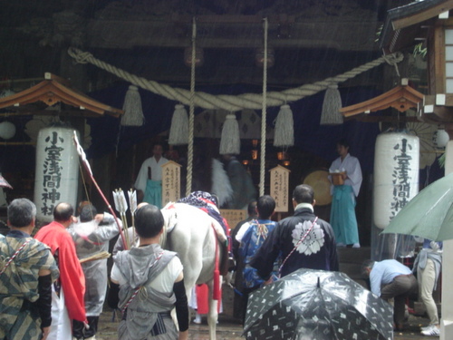 DSC03470.JPG