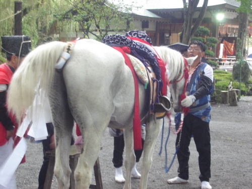 DSC03472.JPG