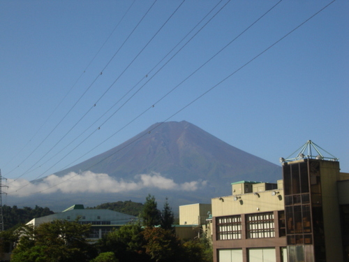 DSC03483.JPG
