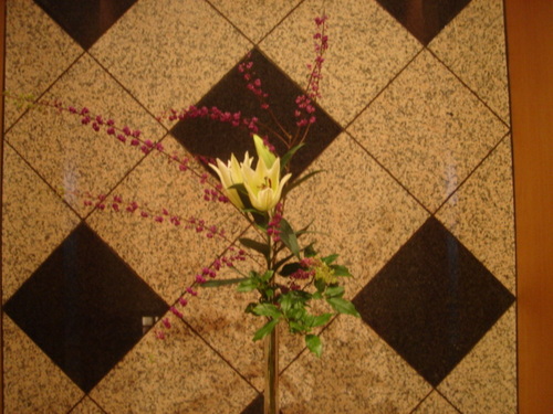 DSC03484.JPG