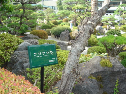 DSC03486.JPG