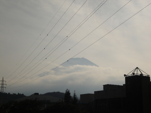 DSC03488.JPG