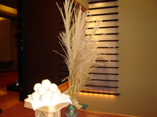 DSC03499.JPG