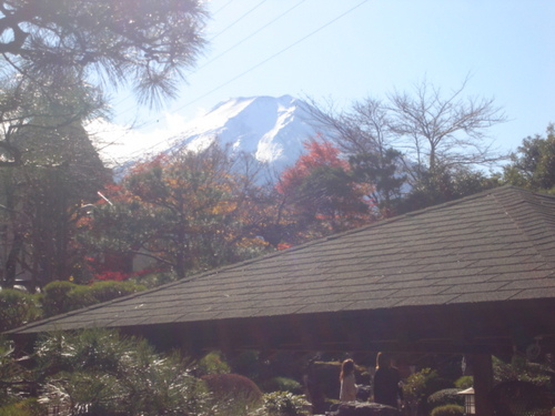 DSC03608.JPG