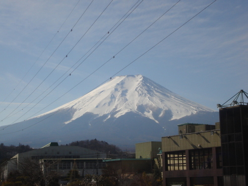 DSC03703.JPG