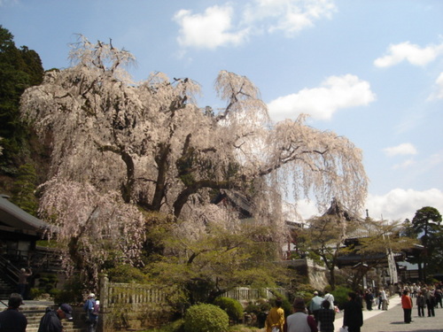 DSC03765.JPG