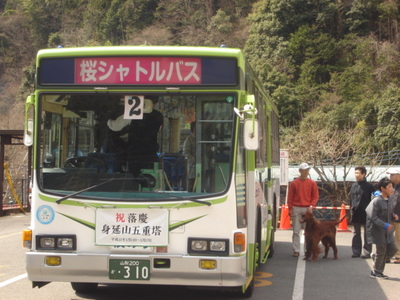 DSC03766.JPG