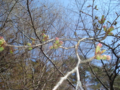 DSC03768.JPG