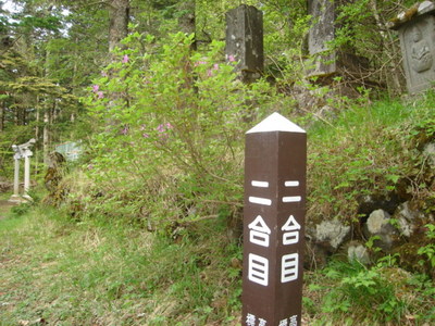 DSC03886.JPG