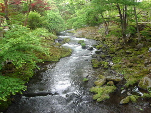 DSC03893.JPG