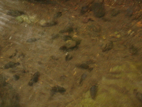 DSC03895.JPG