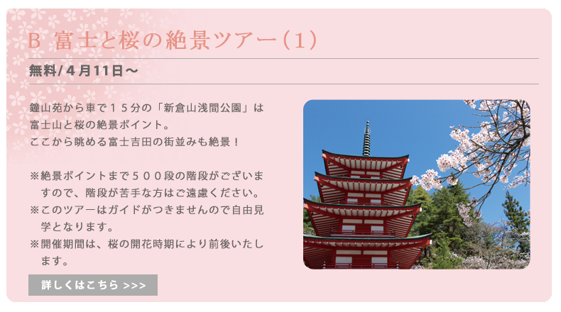 富士と桜の絶景ツアー（１）