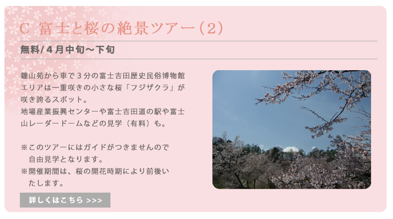 富士と桜の絶景ツアー（２）