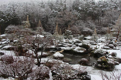 1月１５日雪.jpg