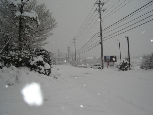 山梨県　温泉旅館　朝からの雪