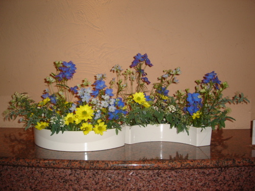 DSC03209.JPG