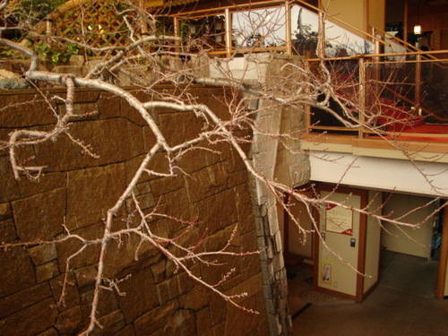 DSC03212.JPG