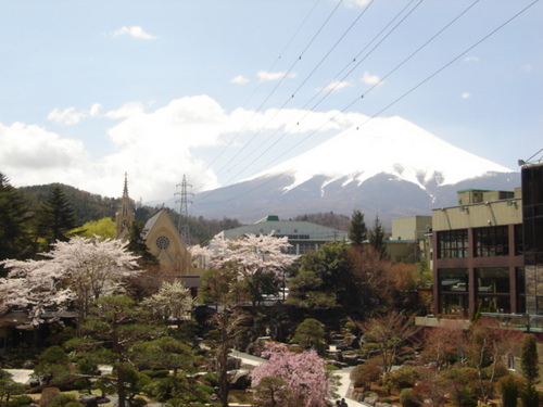 山梨県　温泉旅館　鐘山苑の庭園の桜満開です