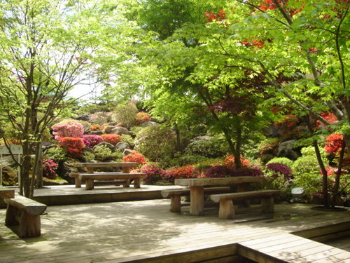 DSC03327.JPG