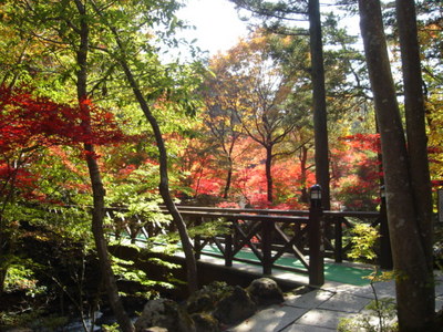 山梨県　温泉旅館　紅葉シーズンです。
