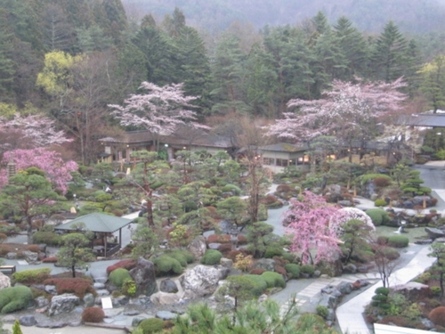 山梨県　温泉宿　「夜桜祭り開催決定！！」