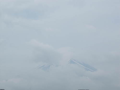 山梨県　温泉宿　「梅雨入りしましたね」