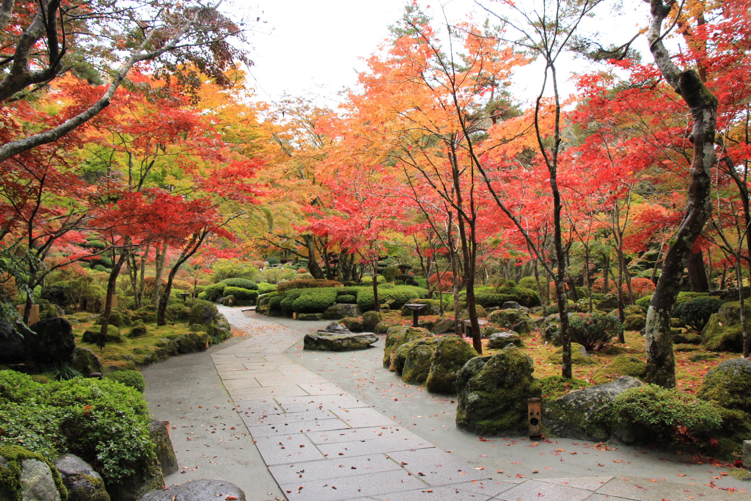 10月11月限定 秋の紅葉を楽しむプラン 新着情報 富士山の見える温泉旅館 富士山温泉ホテル鐘山苑公式hp