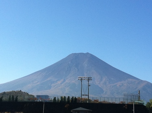富士山の見える温泉旅館｜庭園の紅葉