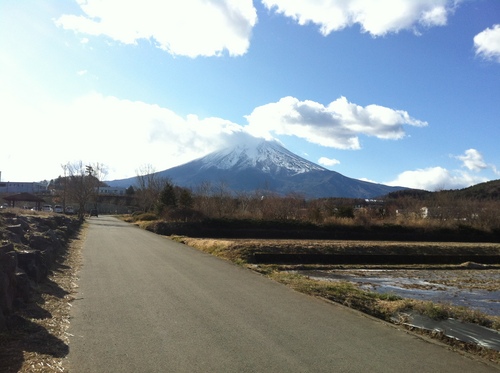 富士山が連続で見えております！