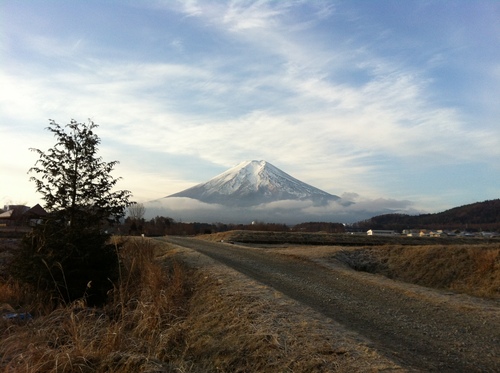 謹んで新年のご挨拶を申し上げます