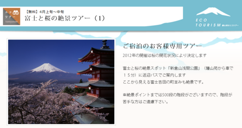 富士と桜の絶景ツアー（1）