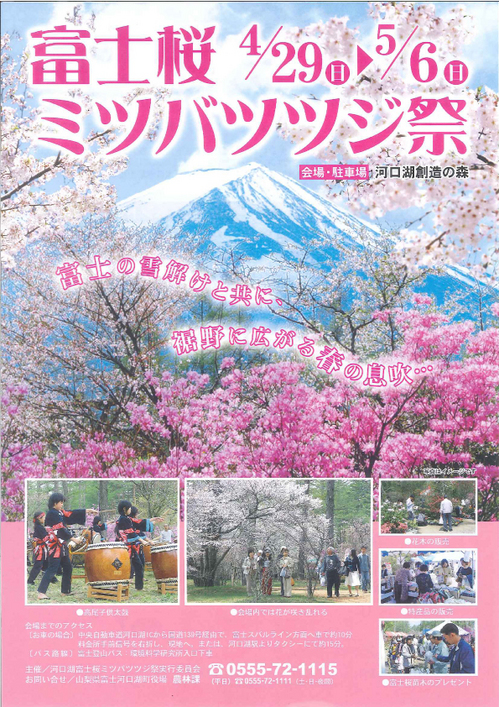 富士桜ミツバツツジ祭：表