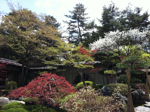 富士山温泉ホテル鐘山苑：庭園のハクトウ