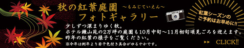 秋の庭園フォトギャラリー